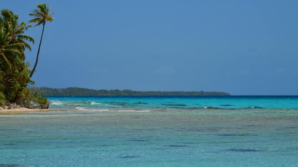 Comment choisir le bon équipement pour un camping en région de mangroves?