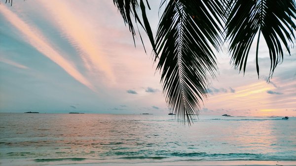 Quels sont les équipements indispensables pour un camping en région de forêt équatoriale?